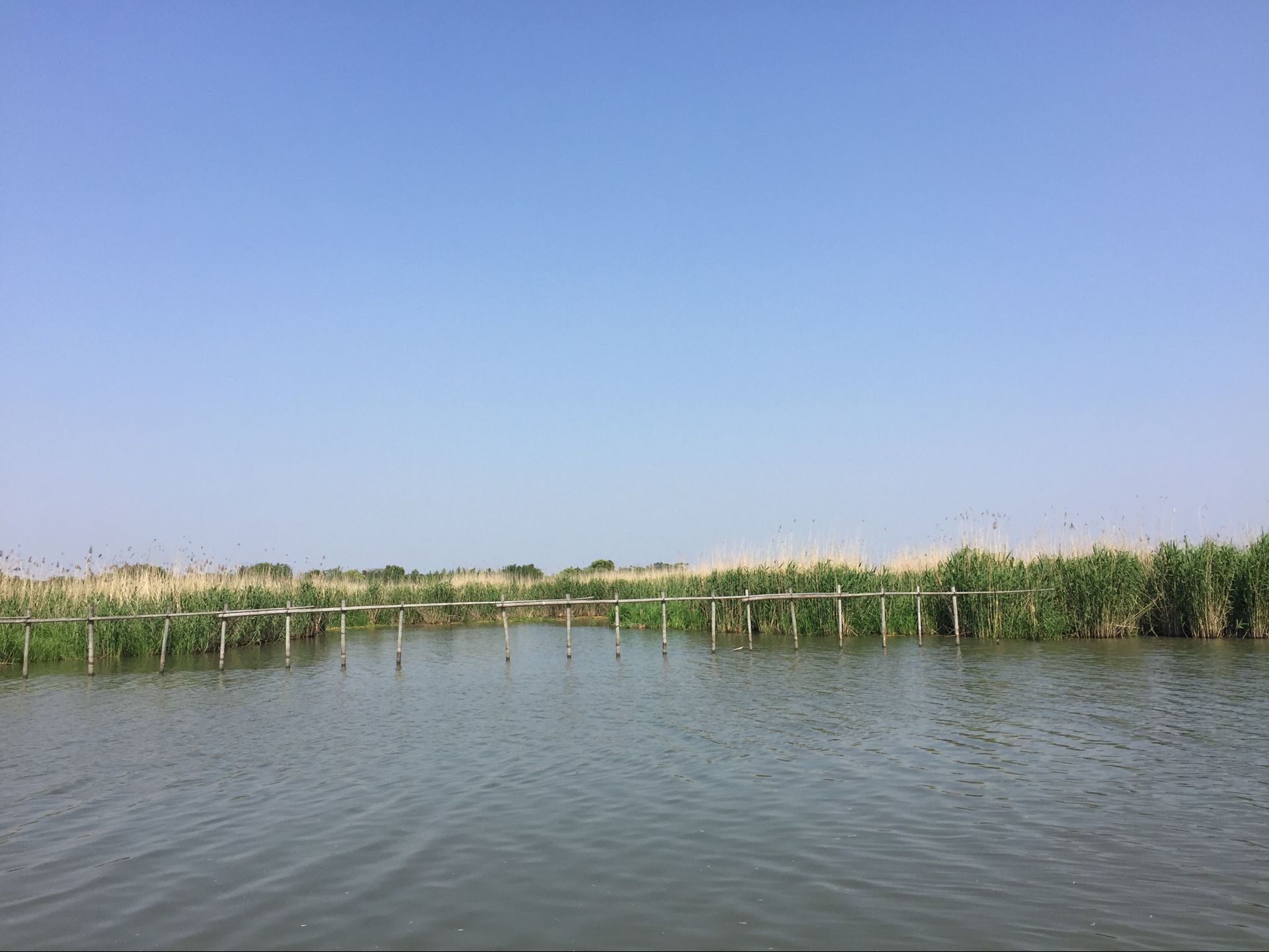 哑子湖湿地公园